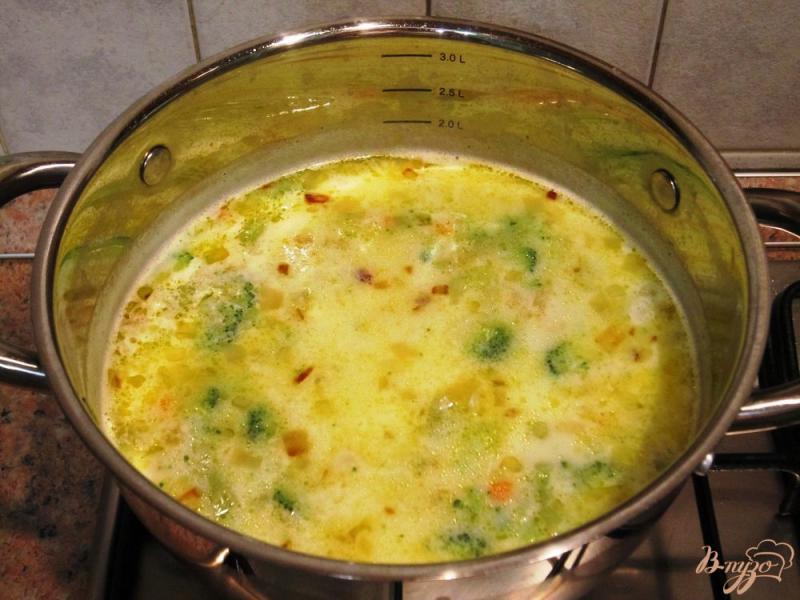 Фото приготовление рецепта: Овощной суп-пюре с тилапией шаг №9