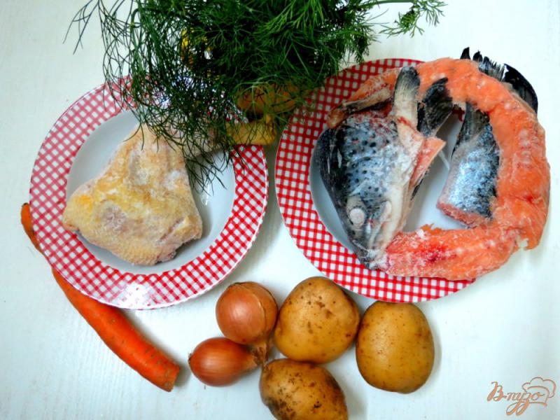 Фото приготовление рецепта: Рыбный суп на курином бульоне шаг №1