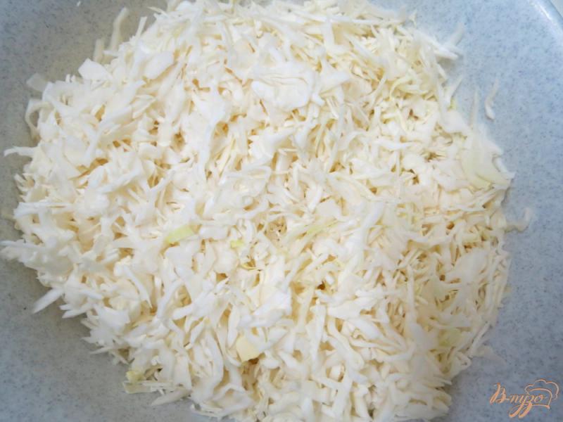 Фото приготовление рецепта: Капуста тушёная с рисом и грибами шаг №3