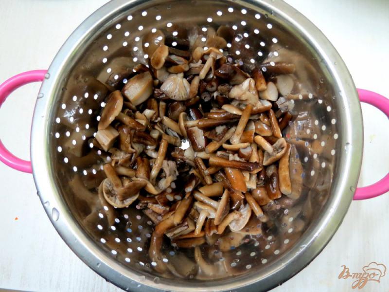 Фото приготовление рецепта: Капуста тушёная с рисом и грибами шаг №4