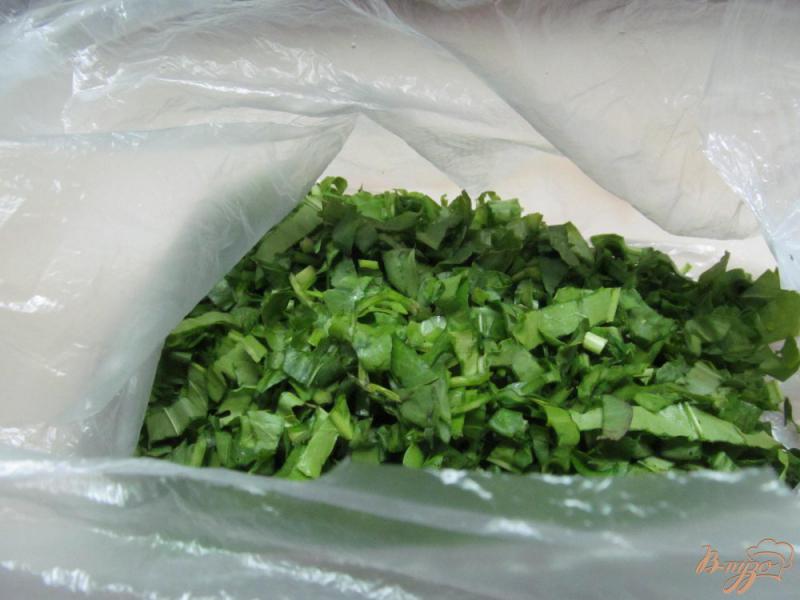 Фото приготовление рецепта: Как заморозить зеленый лук и зелень на зиму шаг №2