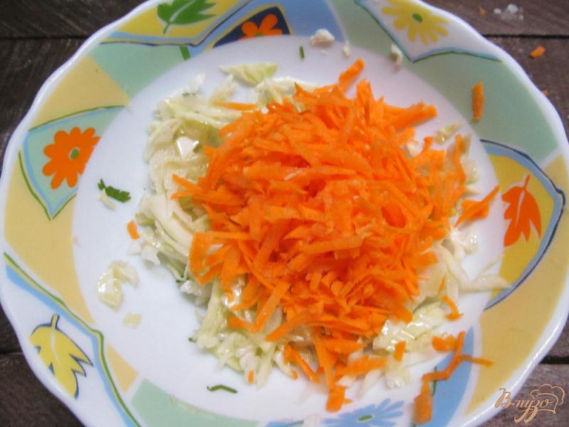 Фото приготовление рецепта: Салат из капусты с редькой шаг №2