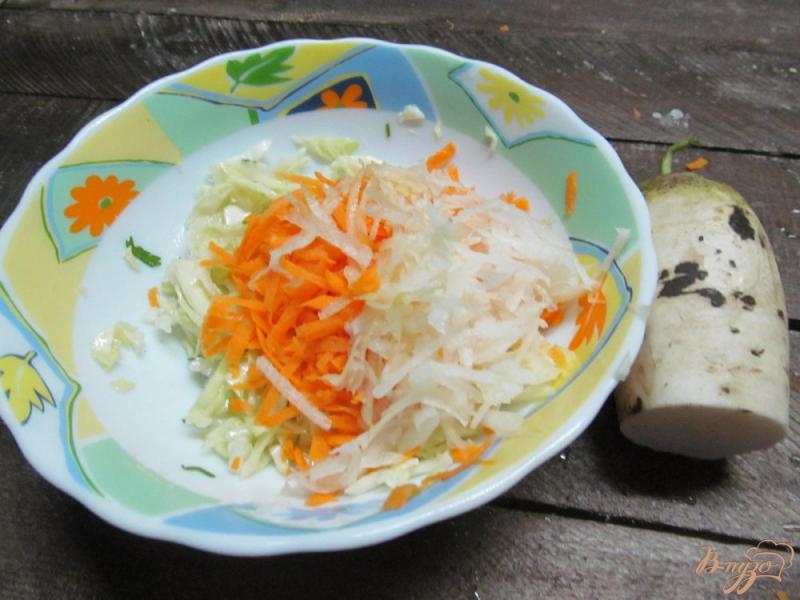 Фото приготовление рецепта: Салат из капусты с редькой шаг №3