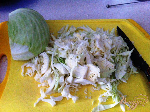 Фото приготовление рецепта: Салат из свежей капусты шаг №1