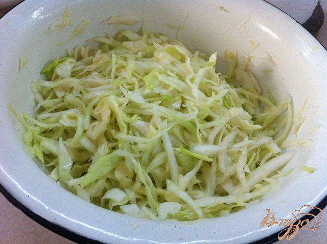 Фото приготовление рецепта: Салат из капусты со свежими овощами шаг №3