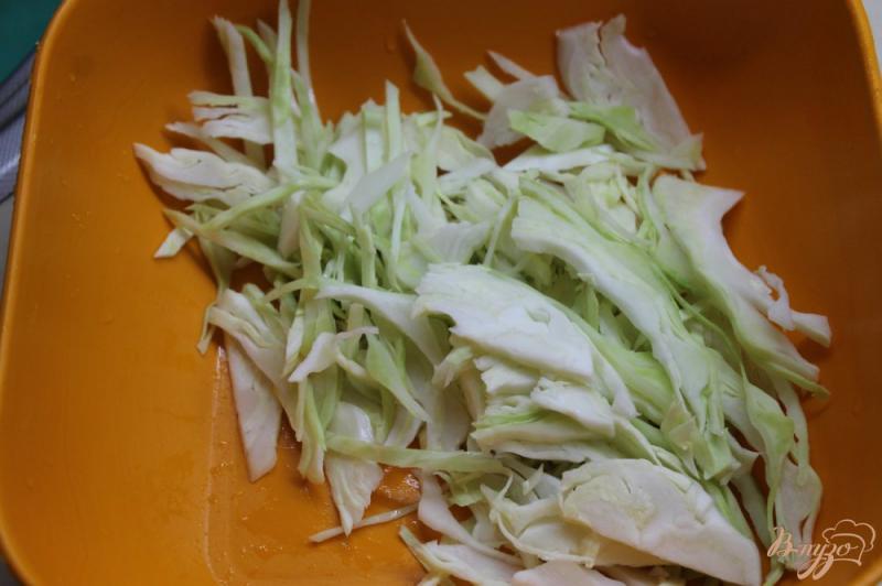 Фото приготовление рецепта: Салат с капусты и яблок с колбасой шаг №2