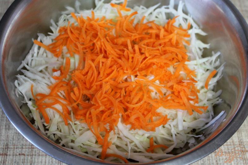 Фото приготовление рецепта: Капуста квашенная с морковкой и черным тмином шаг №2