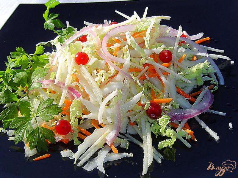 Фото приготовление рецепта: Салат из пекинской капусты, моркови, яблока и клюквы шаг №6