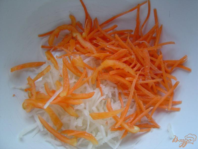 Фото приготовление рецепта: Салат из баклажан, редьки и моркови шаг №2