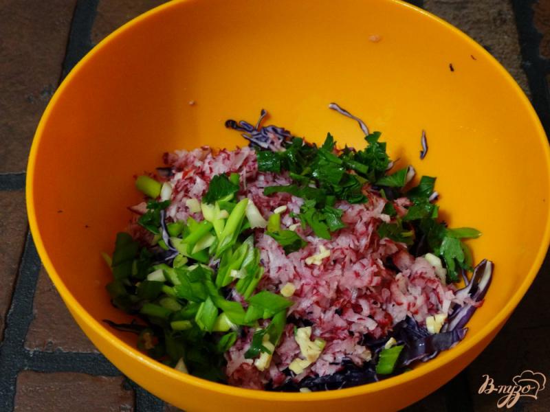 Фото приготовление рецепта: Салат из краснокочанной капусты и редиса шаг №3