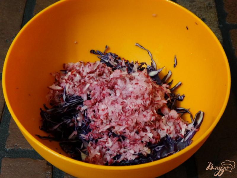 Фото приготовление рецепта: Салат из краснокочанной капусты и редиса шаг №2