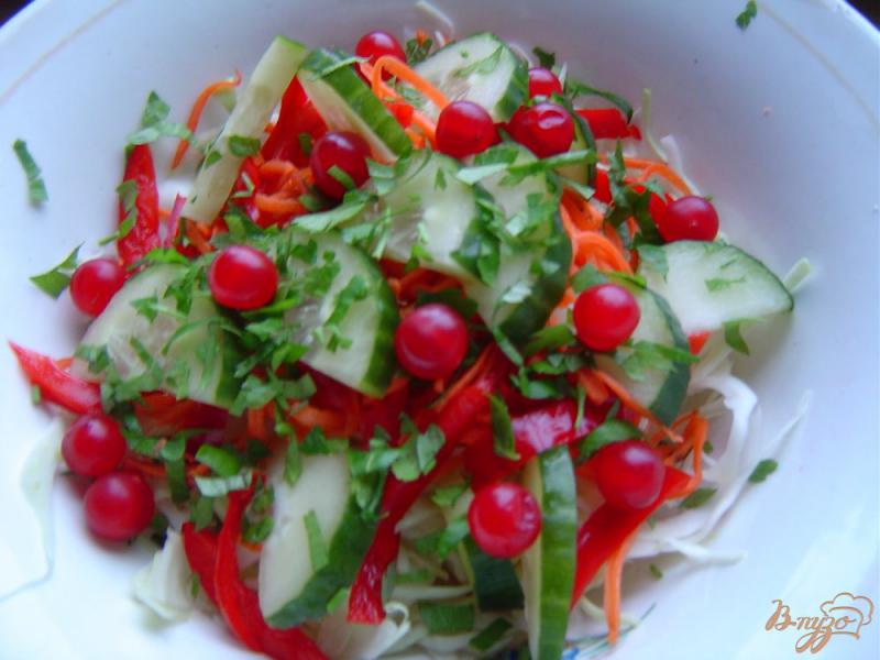 Фото приготовление рецепта: Салат из капусты,корейской моркови,огурца, перца и клюквы шаг №4