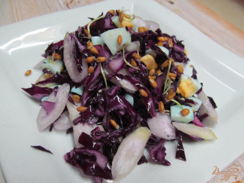Фото приготовление рецепта: Салат из краснокочанной капусты с яйцом и ростками пшеницы шаг №3