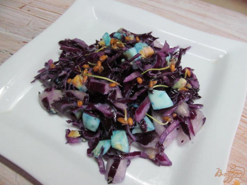 Фото приготовление рецепта: Салат из краснокочанной капусты с яйцом и ростками пшеницы шаг №4