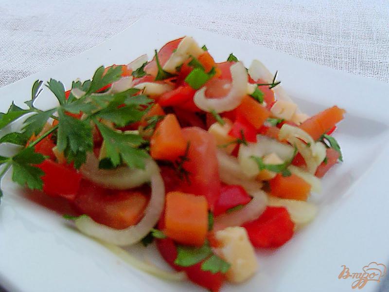 Фото приготовление рецепта: Салат из помидоров, сыра, болгарского перца и моркови шаг №4