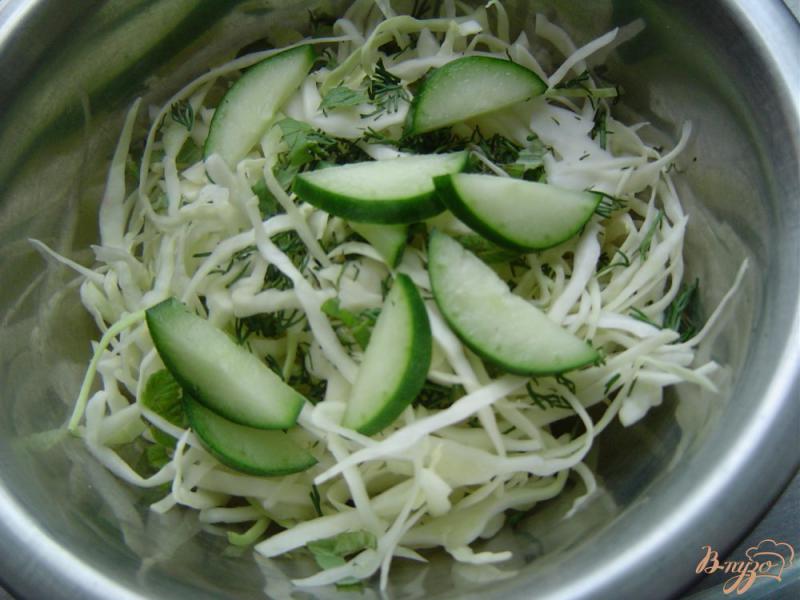 Фото приготовление рецепта: Салат с капустой, мятой и огурцом шаг №5