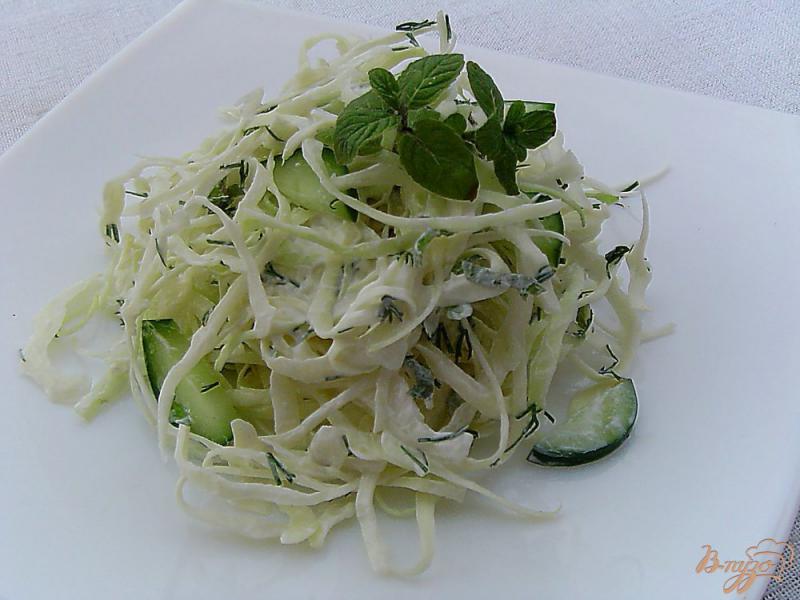 Фото приготовление рецепта: Салат с капустой, мятой и огурцом шаг №6