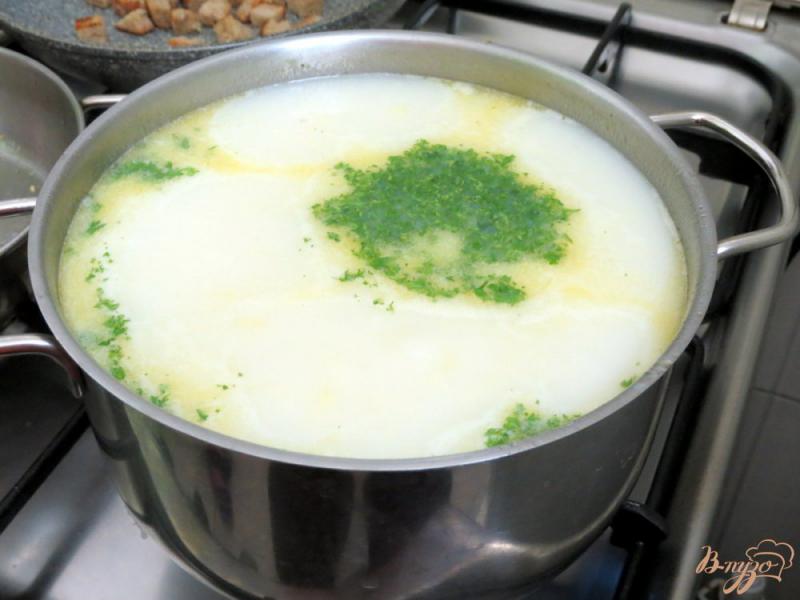 Фото приготовление рецепта: Венгерский чесночный суп шаг №12