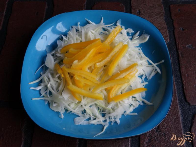 Фото приготовление рецепта: Салат с капустой и колбасой шаг №2