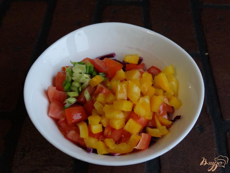Фото приготовление рецепта: Салат с красной капустой и сыром шаг №3