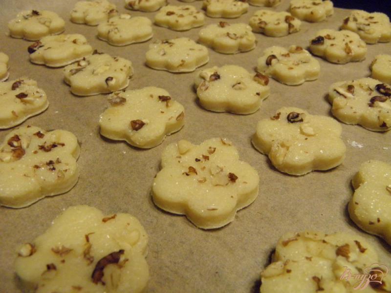 Фото приготовление рецепта: Печенье с грецкими орехами шаг №8