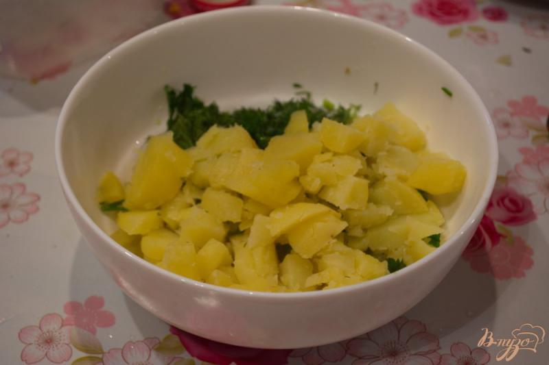 Фото приготовление рецепта: Немецкий салат с кальмаром и огурчиком шаг №3