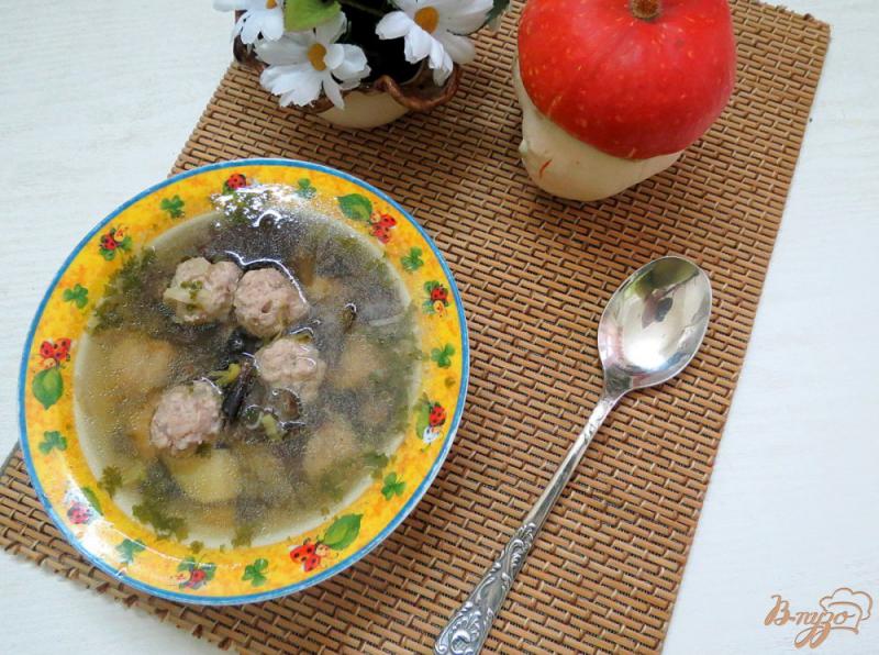 Фото приготовление рецепта: Суп с фрикадельками и опятами шаг №12