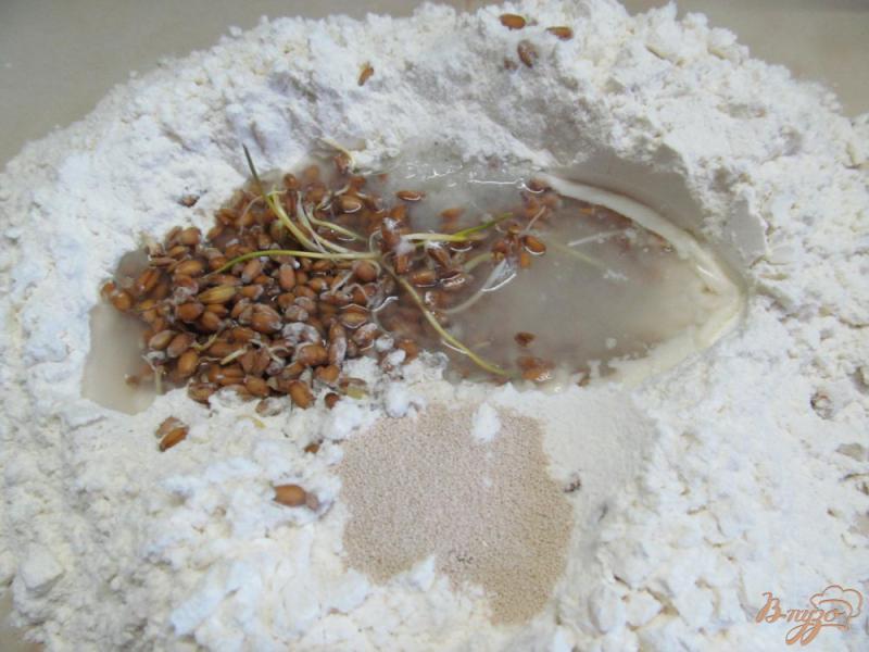 Фото приготовление рецепта: Булочки с ростками пшеницы шаг №2