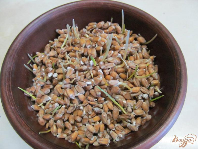 Фото приготовление рецепта: Булочки с ростками пшеницы шаг №1