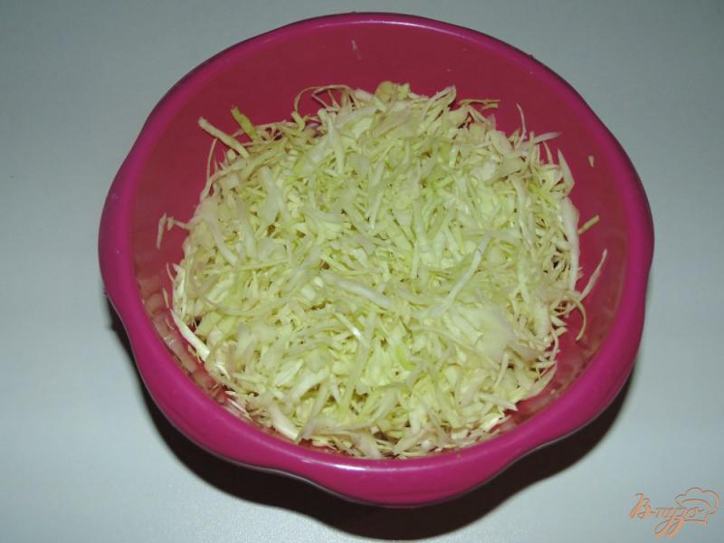 Фото приготовление рецепта: Салат из белокочанной капусты с твердым сыром шаг №1