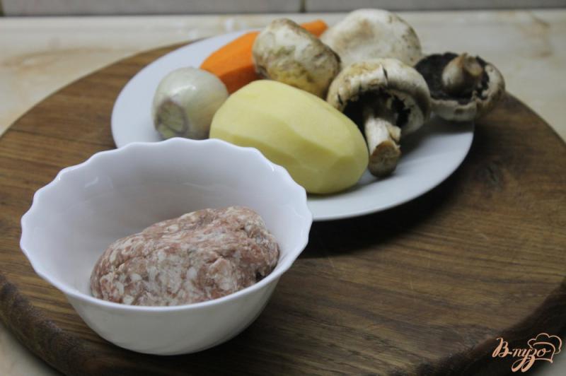 Фото приготовление рецепта: Суп с грибами и фрикадельками шаг №1