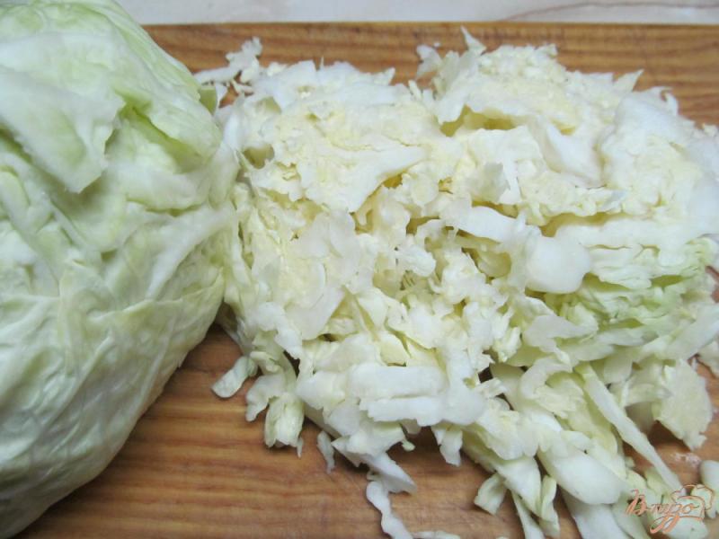 Фото приготовление рецепта: Салат из капусты с морковью и яблоком шаг №2