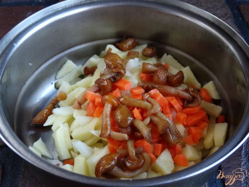 Фото приготовление рецепта: Суп со шпинатом и опятами шаг №3
