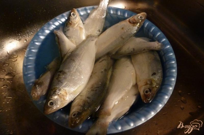 Фото приготовление рецепта: Белая рыба (пелядь) соленая с цедрой цитрусовых шаг №1
