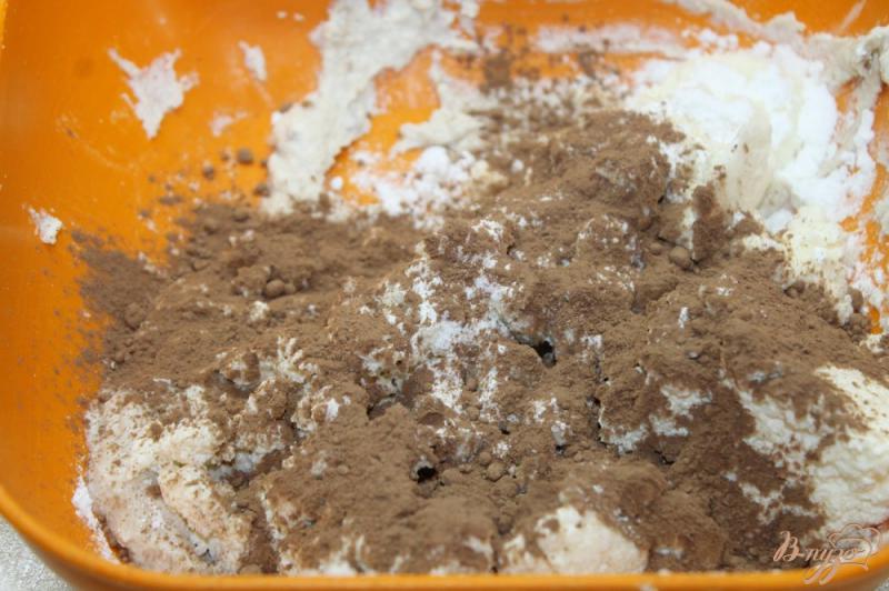 Фото приготовление рецепта: Творожные шарики с бисквитом и орехами в шоколаде шаг №3