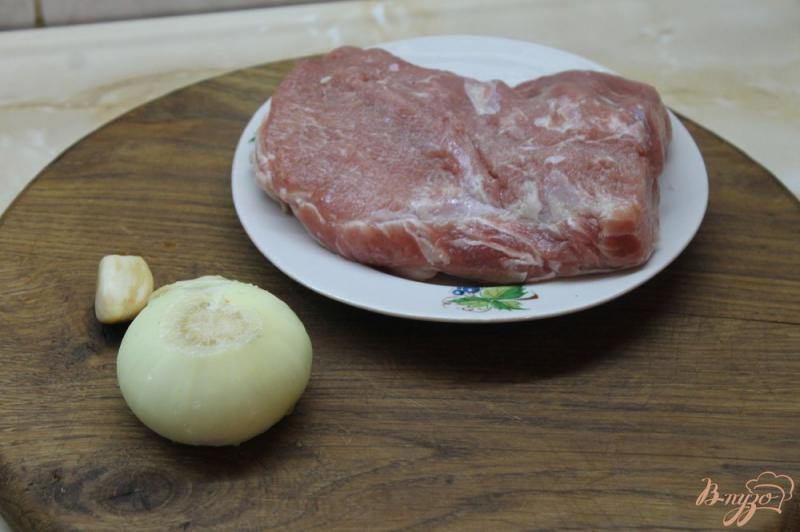 Фото приготовление рецепта: Свинина маринованная с горчицей в зернах и луком шаг №1