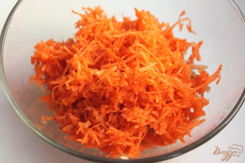 Фото приготовление рецепта: Морковный салат с кунжутом и семечками льна шаг №3