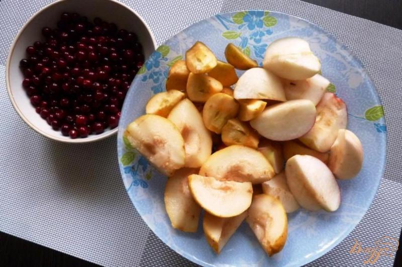 Фото приготовление рецепта: Компот из брусники,яблок и груш шаг №2