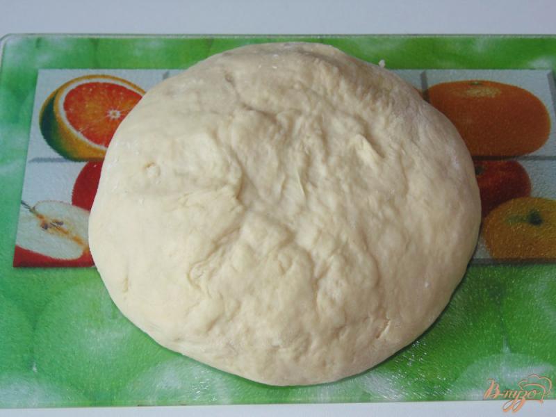 Фото приготовление рецепта: Опарное дрожжевое тесто на молоке шаг №4