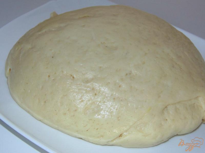 Фото приготовление рецепта: Нежное дрожжевое тесто на кефире для духовых пирожков шаг №5