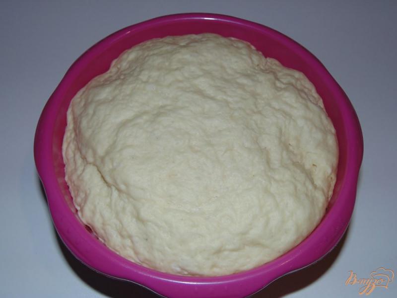 Фото приготовление рецепта: Дрожжевое тесто на домашнем йогурте шаг №5