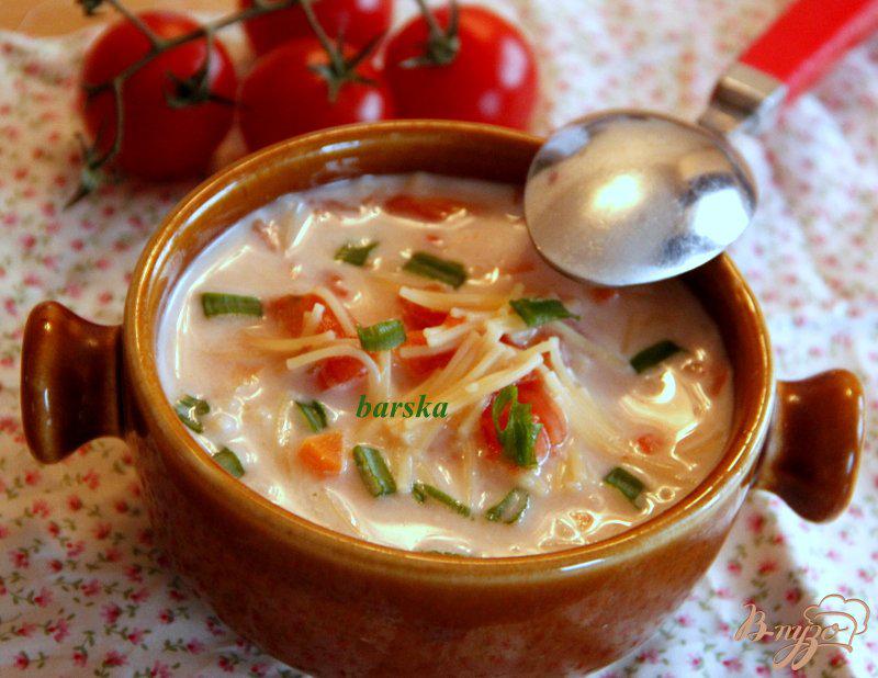 Фото приготовление рецепта: Быстрый томатный суп с вермишелью шаг №8