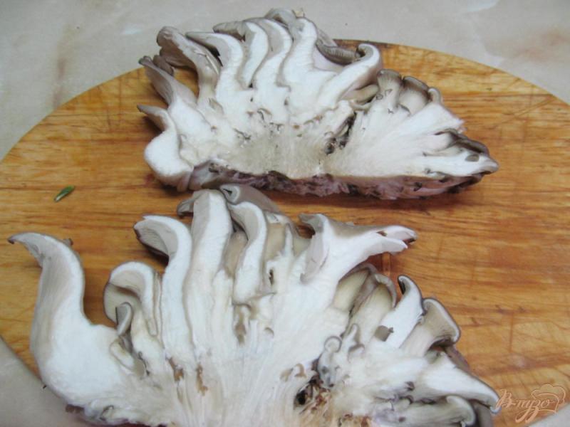 Фото приготовление рецепта: Отбивные из грибов - вешенки шаг №1