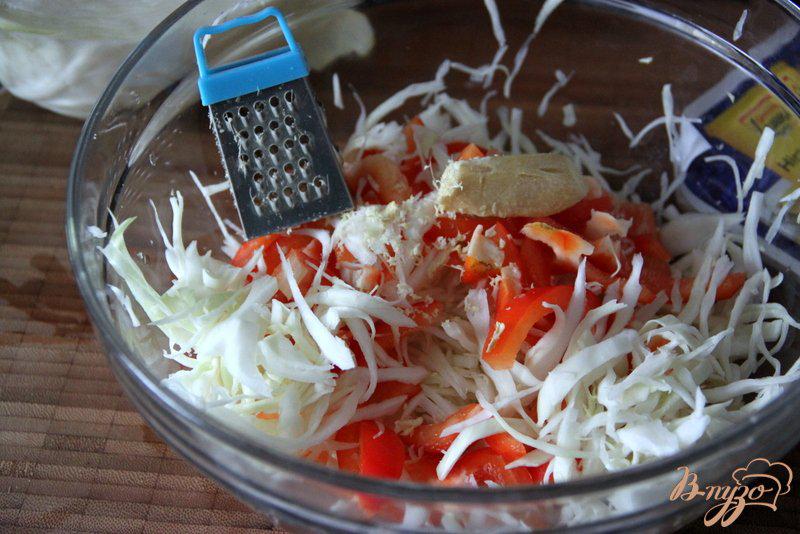 Фото приготовление рецепта: Салат из капусты, болгарского перца и феты шаг №2