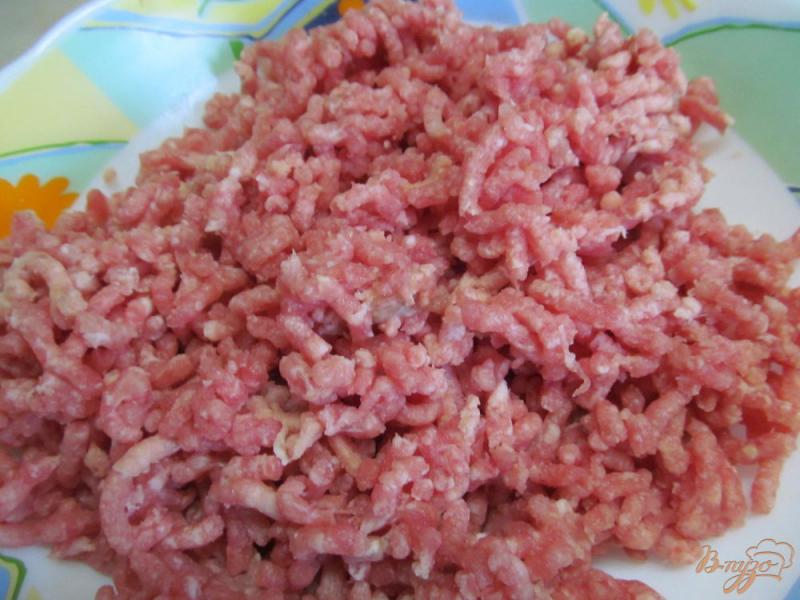 Фото приготовление рецепта: Свиной фарш с капустой рисом и консервированным перцем шаг №1