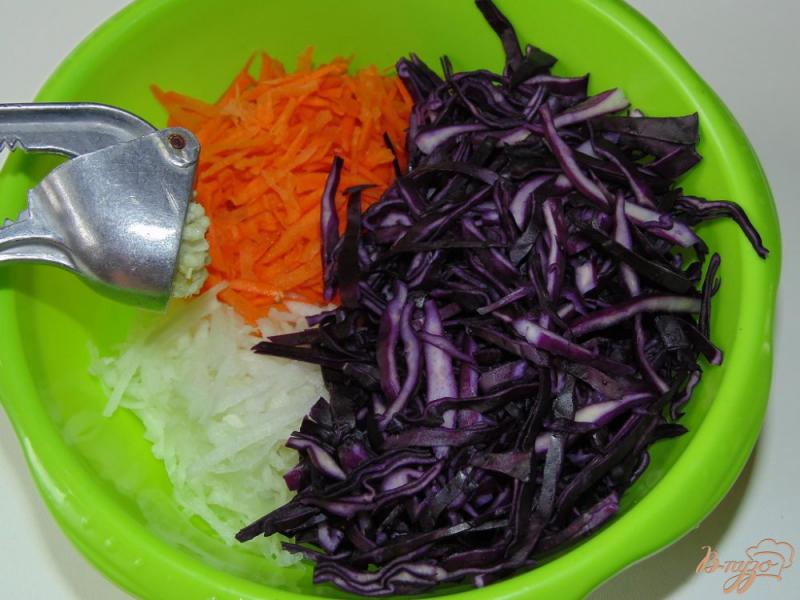 Фото приготовление рецепта: Салат из краснокочанной капусты с дайконом и морковью шаг №4