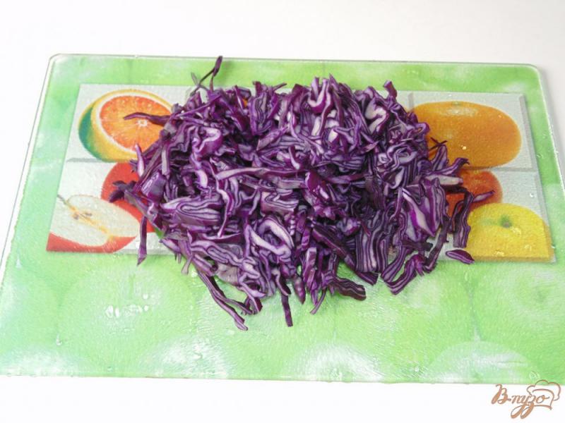 Фото приготовление рецепта: Салат из краснокочанной капусты с дайконом и морковью шаг №3