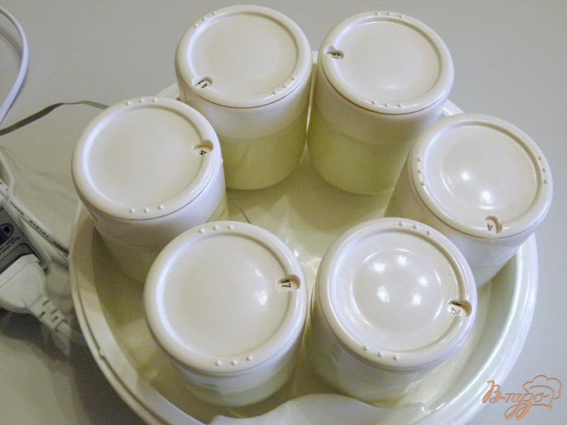 Фото приготовление рецепта: Перезакваска домашнего йогурта шаг №3