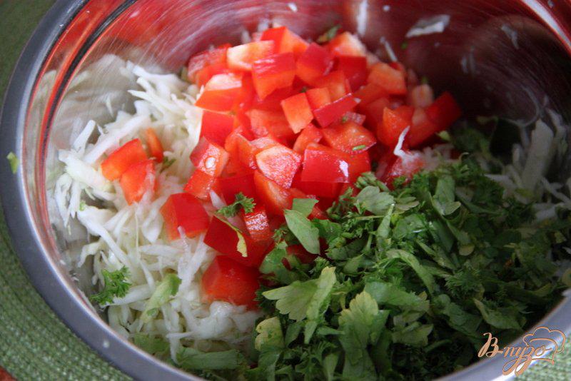 Фото приготовление рецепта: Салат из капусты с заправкой из брынзы шаг №2