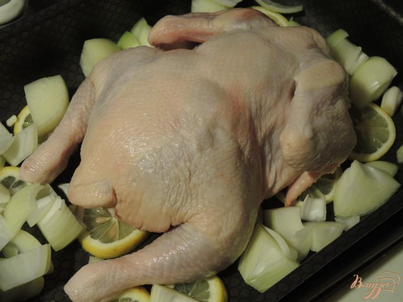 Фото приготовление рецепта: Курица запеченная с лимонами и луком шаг №5